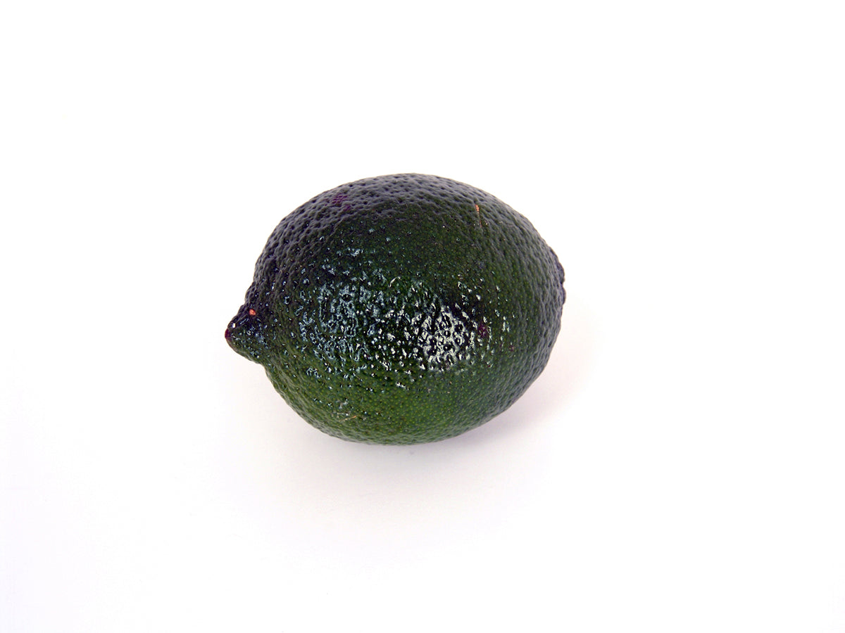 Free Single Lime on White Stock Photography