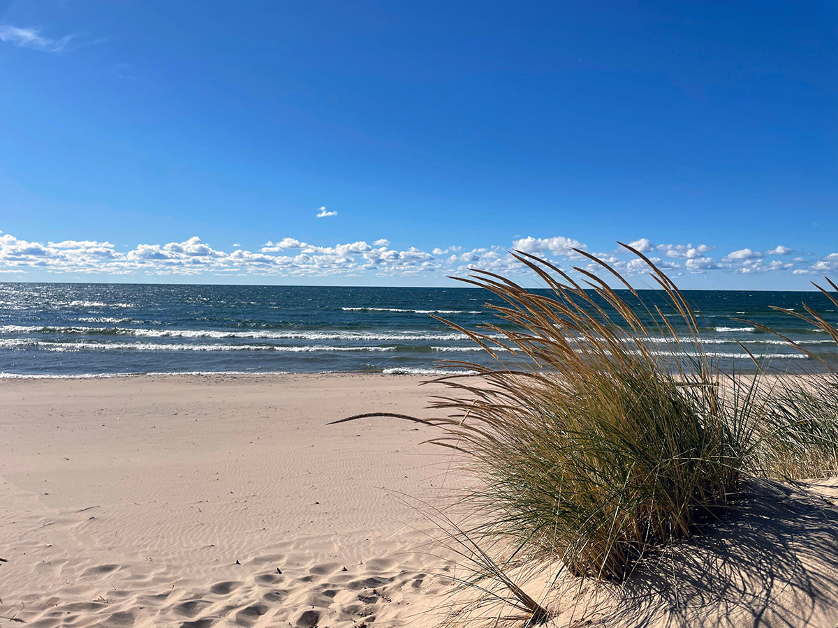 Free Dune Path to Lake Michigan Stock Photography