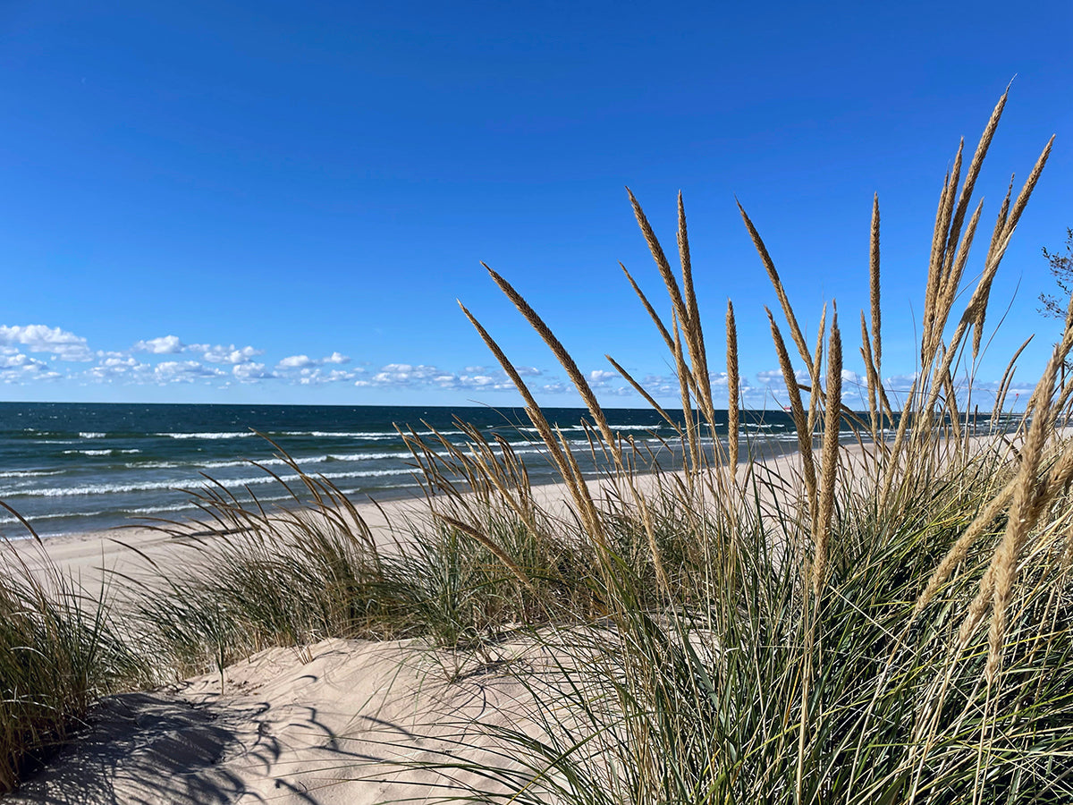 Free Shoreline with Dune Grass and Lighthouse in Distance Stock Photography