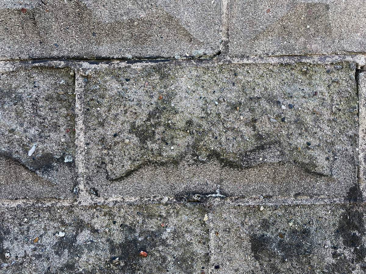 Free Worn Concrete Brick Wall Stock Photography