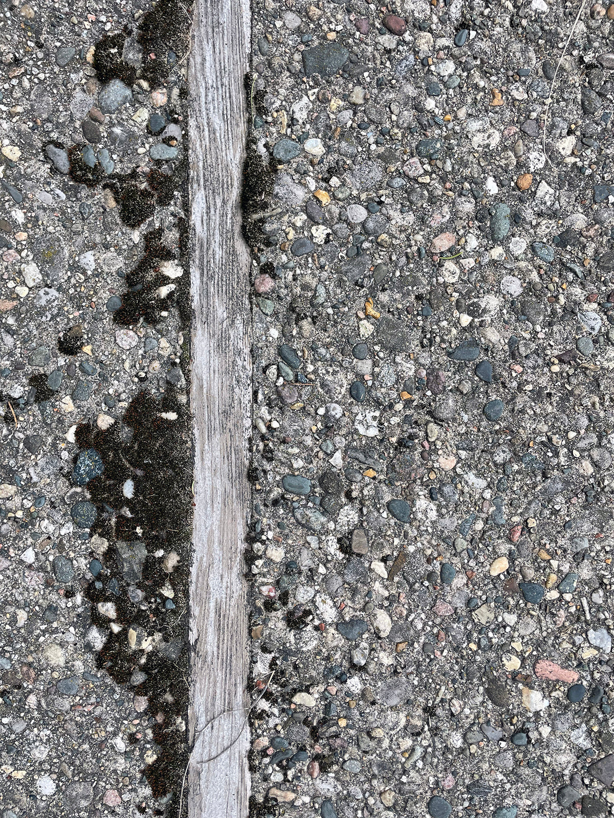 Free Vertical Wooden Strip on Pebbled Ground Stock Photography