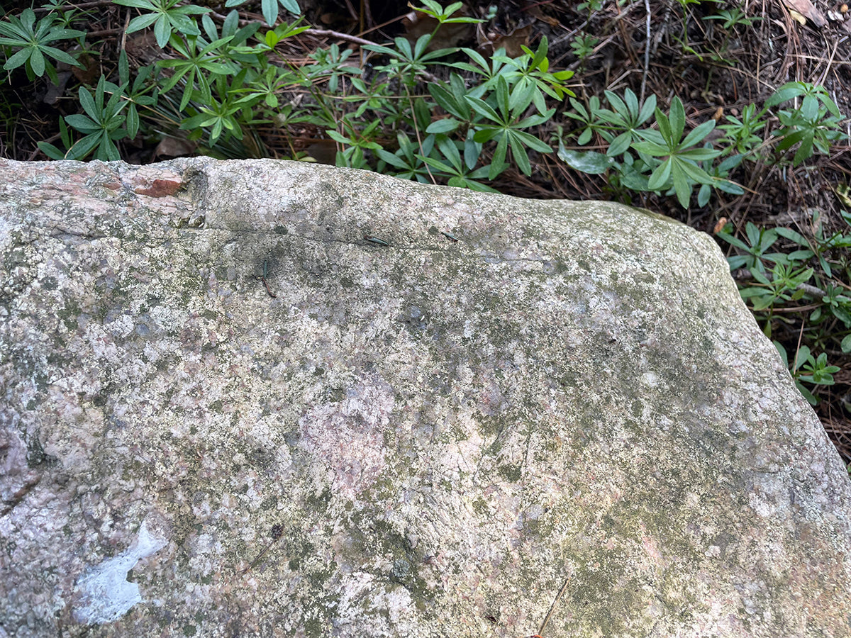 Free Weathered Stone Surface with Pink Hues Stock Photography