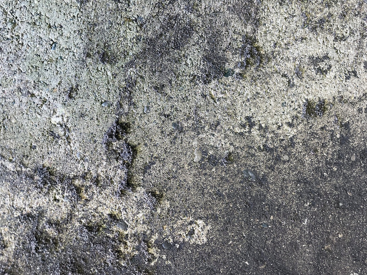 Free Rough Concrete Surface Texture Stock Photography
