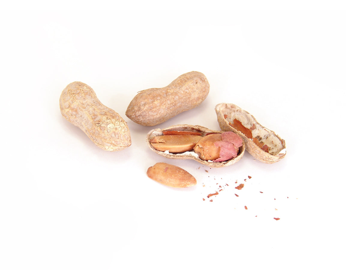 Free Cracked Peanut Shells Stock Photography