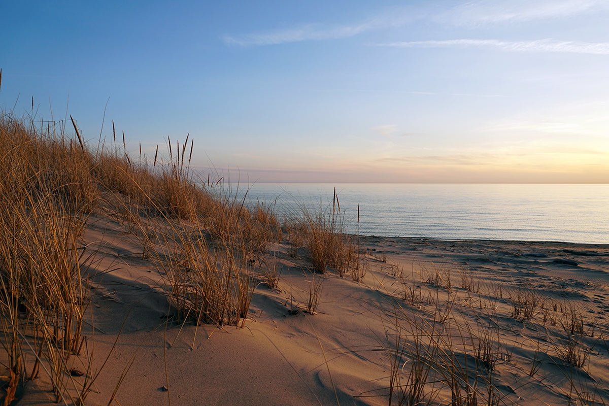 Free Sand Dunes with Grass at Sunset Stock Photography