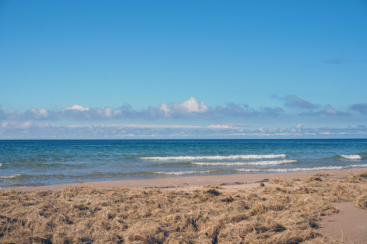 Free Lake Michigan Shoreline with Dried Beach Grass Stock Photography