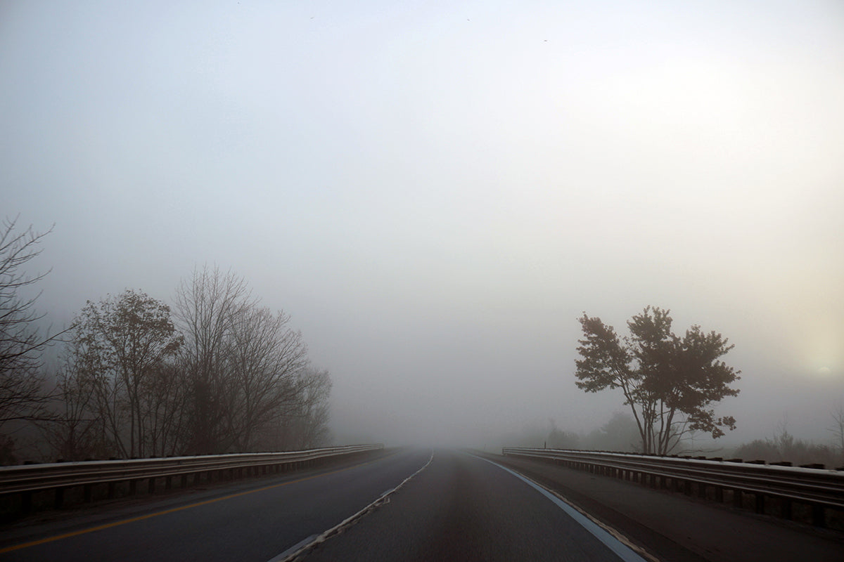 Free Foggy Highway with Bare Trees Stock Photography