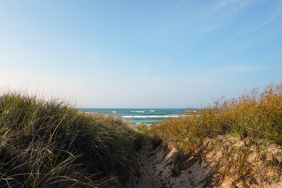 Free Pathway to Lake Through Dunes Stock Photography