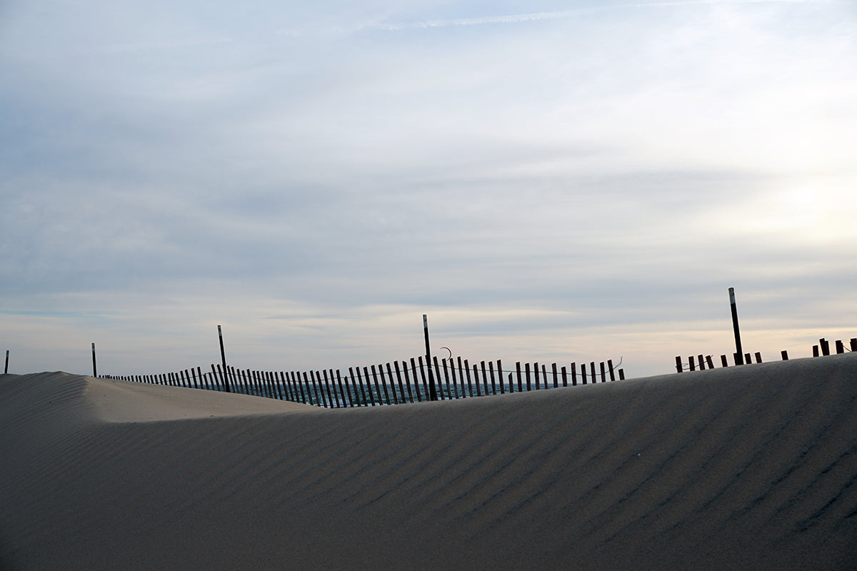 Free Snow Fence on Quiet Sand Dune Stock Photography