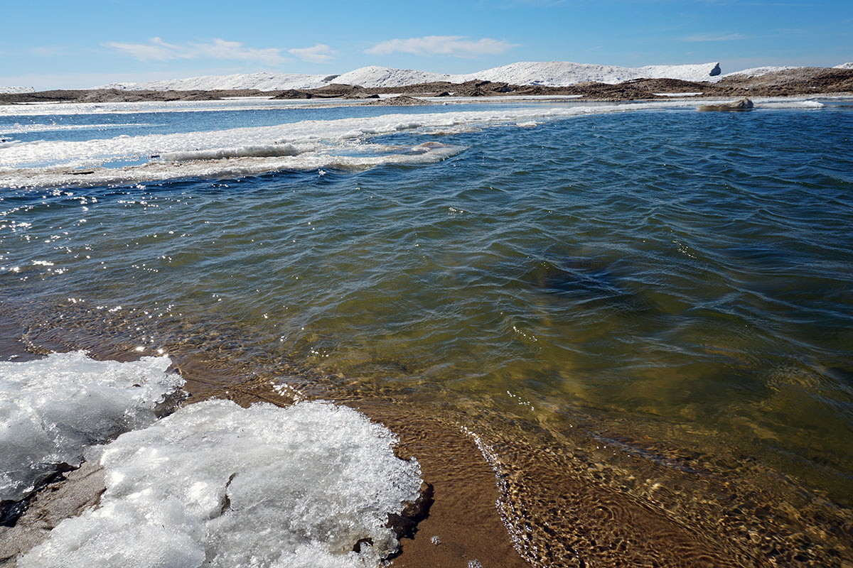 Free Shore Ice Meets Green Water Stock Photography
