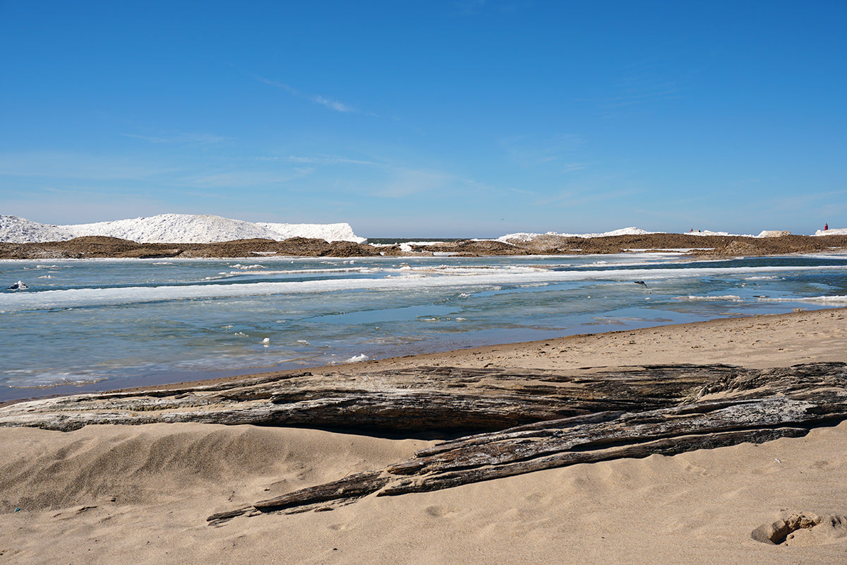 Free Driftwood on Frozen Beach Stock Photography