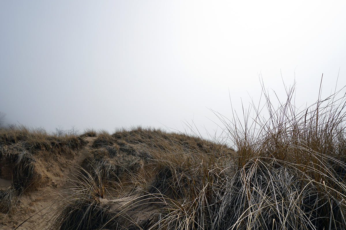 Free Foggy Dune Landscape with Grasses Stock Photography