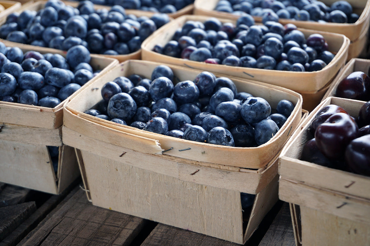 Free Blueberries in Pint Baskets Stock Photography