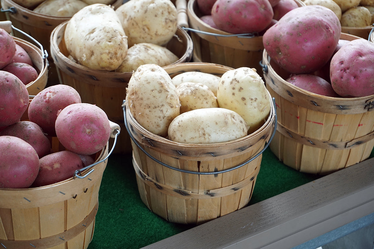 Free Baskets of Fresh Potatoes Stock Photography