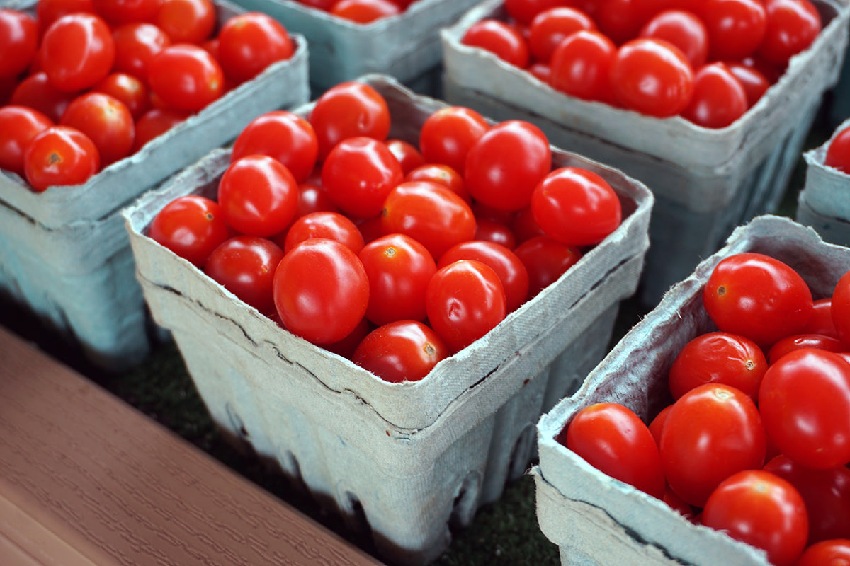 Free Cherry Tomatoes in Paper Cartons Stock Photography