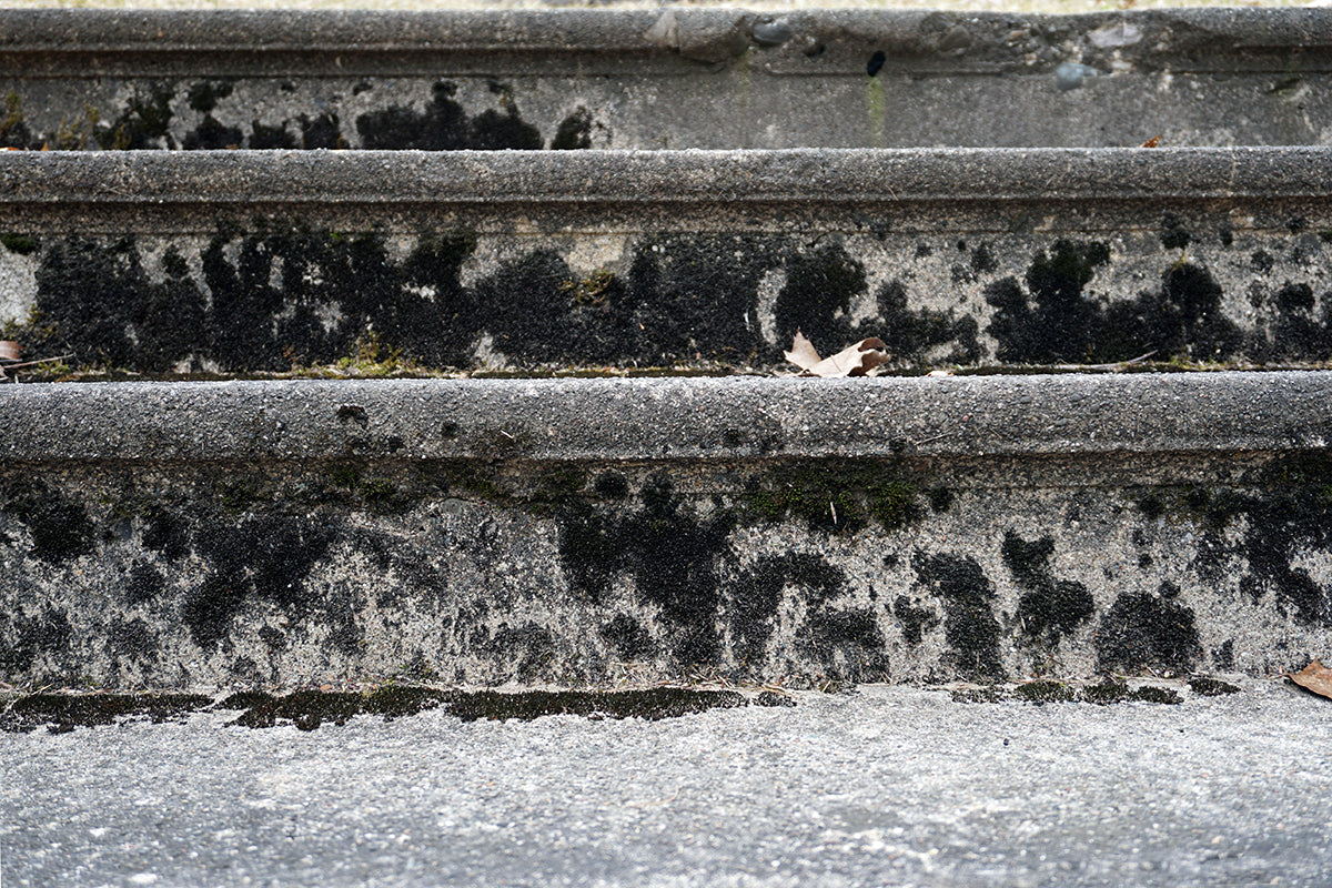Free Concrete Steps with Moss Texture Stock Photography