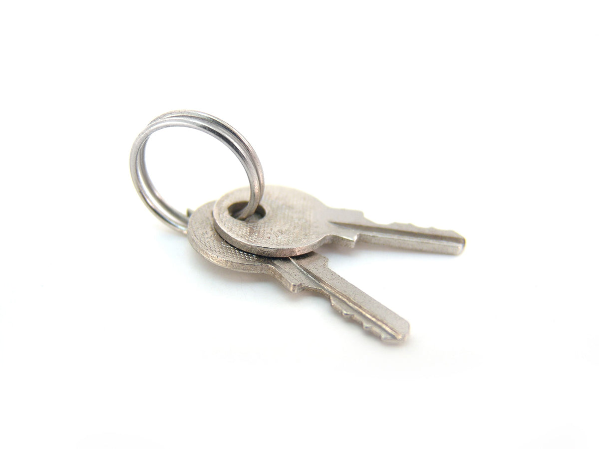 Free Two Silver Keys on a Ring Stock Photography
