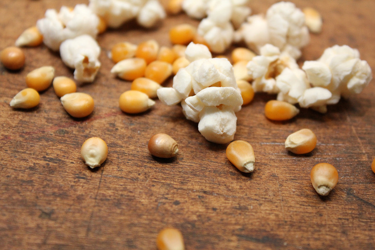 Free Popcorn and Kernels on Wood Stock Photography