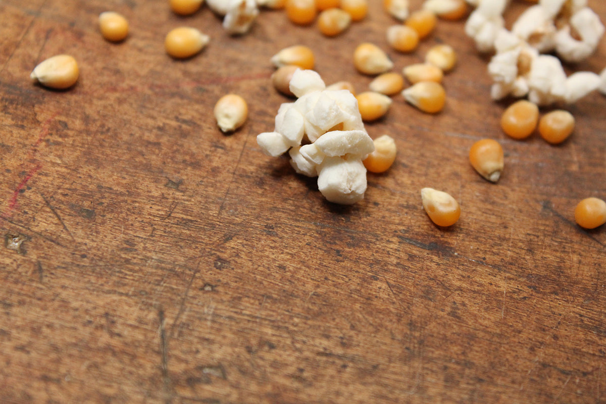 Free Popcorn Kernels and Popped Corn Stock Photography