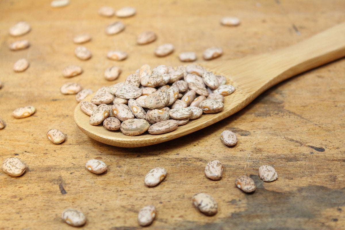 Free Pinto Beans on Wooden Spoon Stock Photography