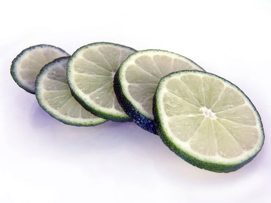 Free Fresh Lime Slices on White Background Stock Photography