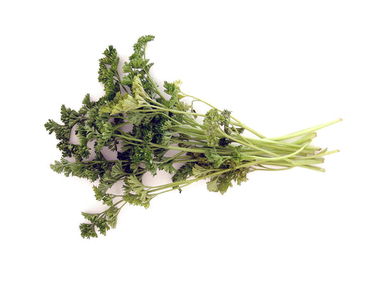 Free Curly Parsley Bunch – Side Angle Stock Photography