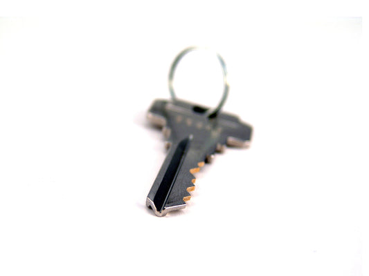Free Single Key with Ring on White Stock Photography
