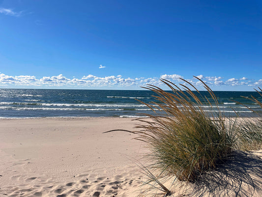 Free Dune Path to Lake Michigan Stock Photography