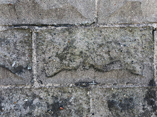 Free Worn Concrete Brick Wall Stock Photography