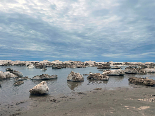 Free Snowy Beach Ice Chunks on the Shore Stock Photography