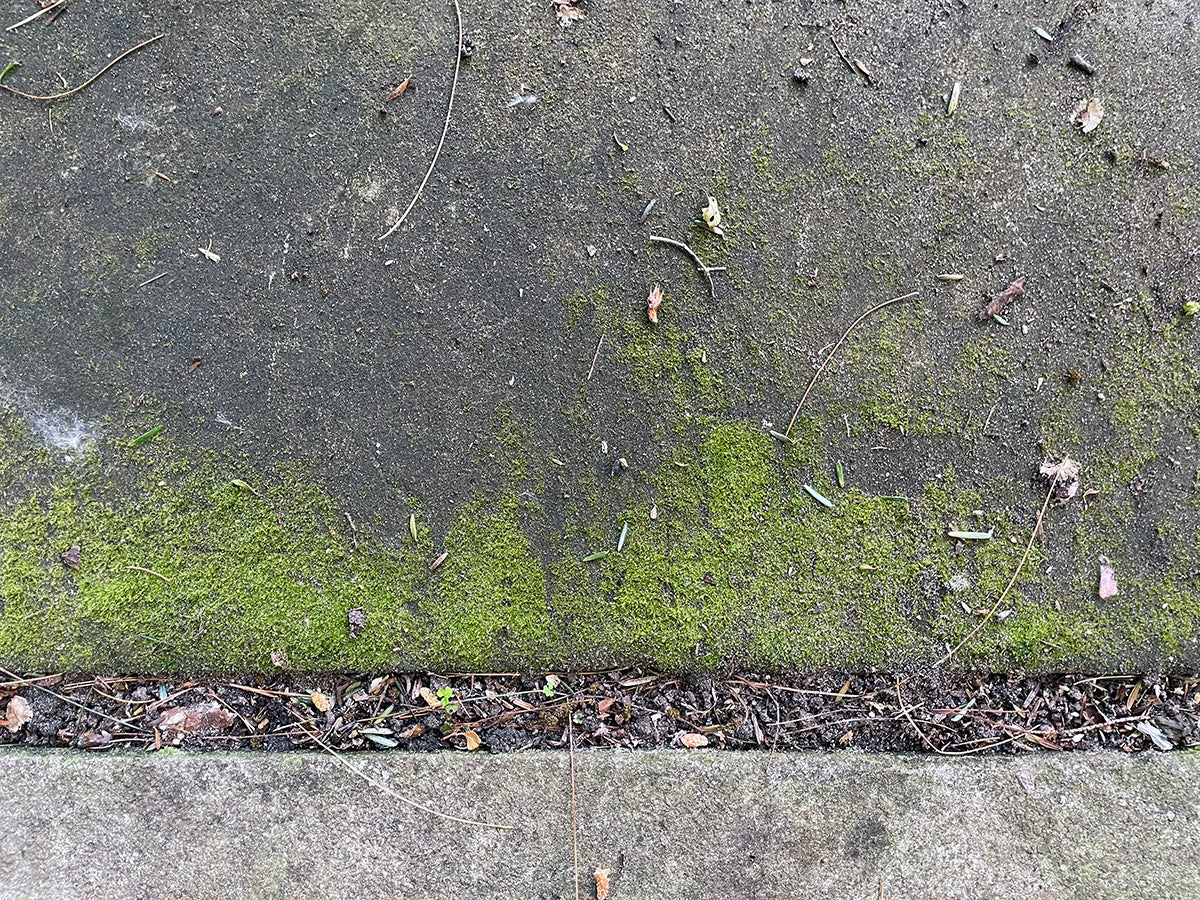 Free Mossy Concrete with Cracks and Debris Stock Photography