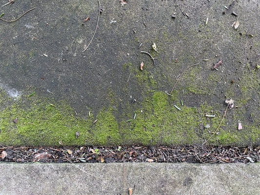 Free Mossy Concrete with Cracks and Debris Stock Photography