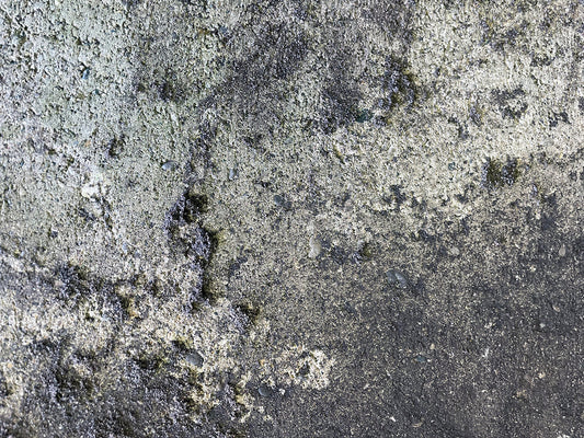 Free Rough Concrete Surface Texture Stock Photography