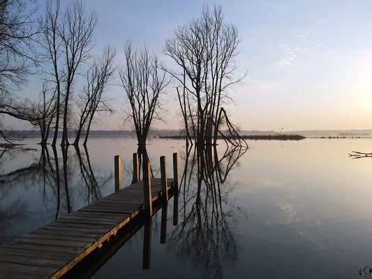 Free Wide View of Dock and Trees at Sunrise Stock Photography