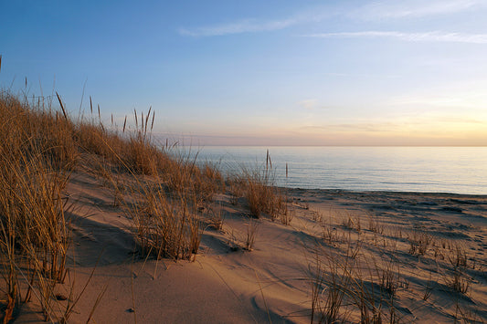 Free Sand Dunes with Grass at Sunset Stock Photography