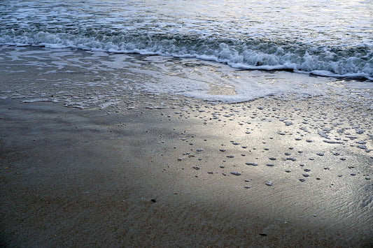 Free Foamy Shoreline Close-Up Stock Photography