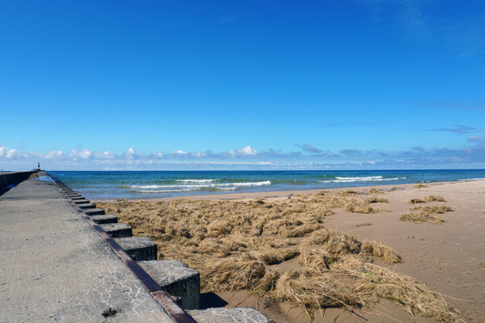 Free Lake Michigan Shoreline and Pier Stock Photography