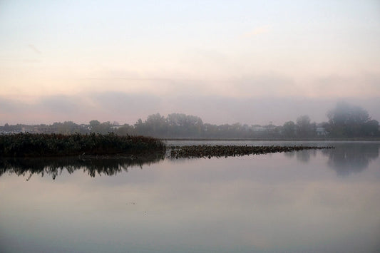 Free Wetlands and Tree Line in Morning Fog Stock Photography