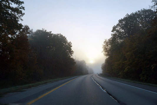 Free Foggy Morning Drive Through Autumn Trees Stock Photography