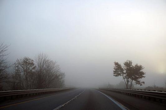 Free Foggy Highway with Bare Trees Stock Photography