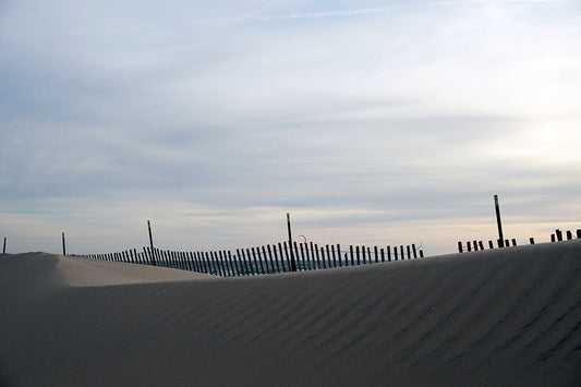 Free Snow Fence on Quiet Sand Dune Stock Photography