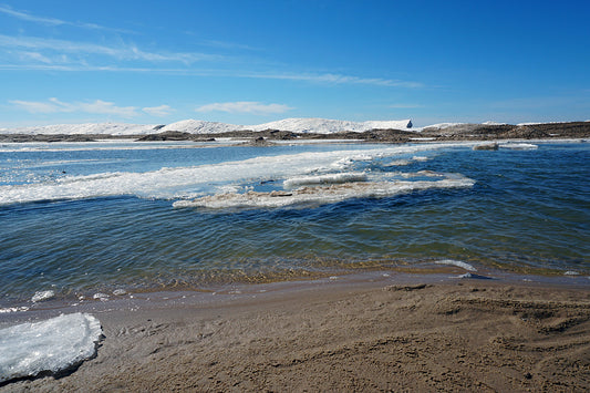Free Melting Ice on Sandy Shoreline Stock Photography