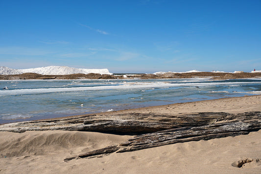 Free Driftwood on Frozen Beach Stock Photography