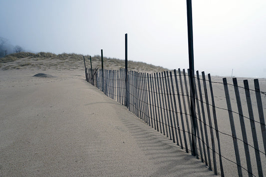 Free Snow Fence on Sand Dune Stock Photography