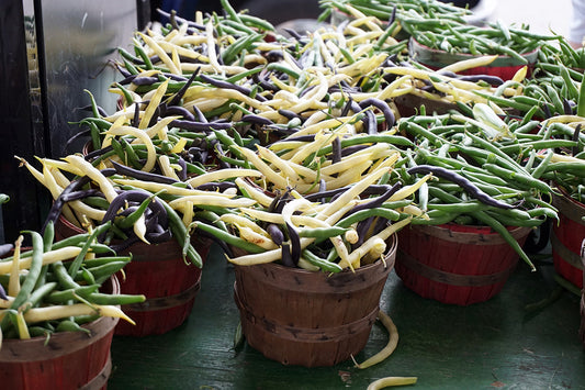 Free Colorful Bean Harvest in Buckets Stock Photography