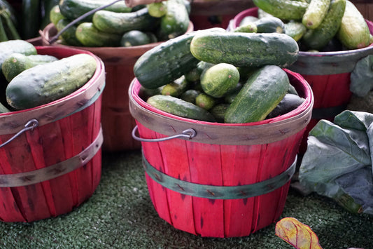 Free Farm Fresh Cucumbers Stock Photography