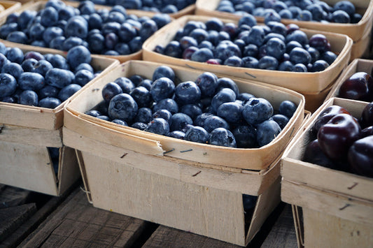 Free Blueberries in Pint Baskets Stock Photography