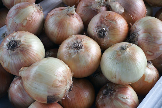 Free Pile of Fresh Yellow Onions Stock Photography