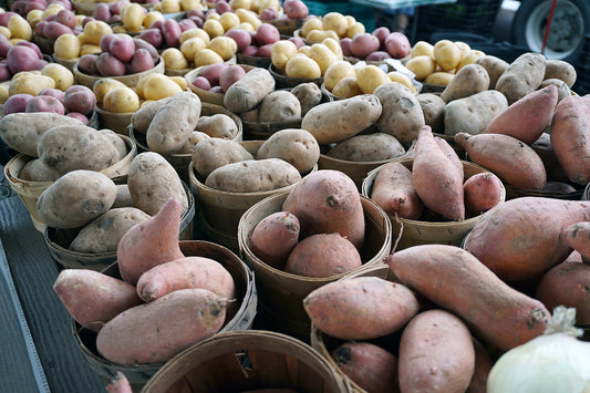 Free Variety of Potatoes at Market Stock Photography