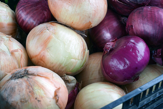 Free Mixed Onions at Market Stand Stock Photography